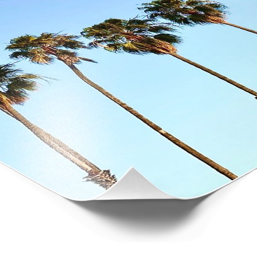 ゴールデンアワーのカリフォルニアのヤシの木 フォトプリント            (角)