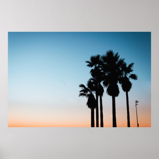 ゴールデンアワーの木々 ポスター (正面)