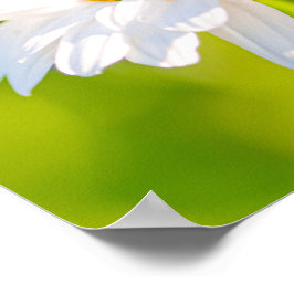 ゴールデンアワーポーズ ポスター