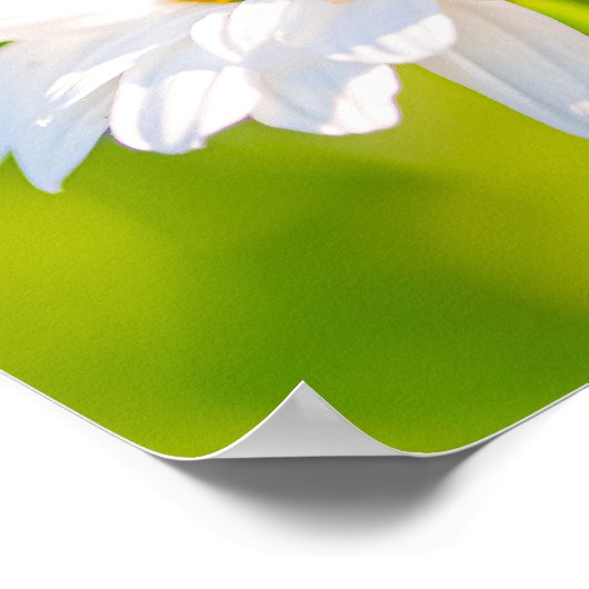 ゴールデンアワーポーズ ポスター (角)