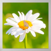 ゴールデンアワーポーズ ポスター (正面)