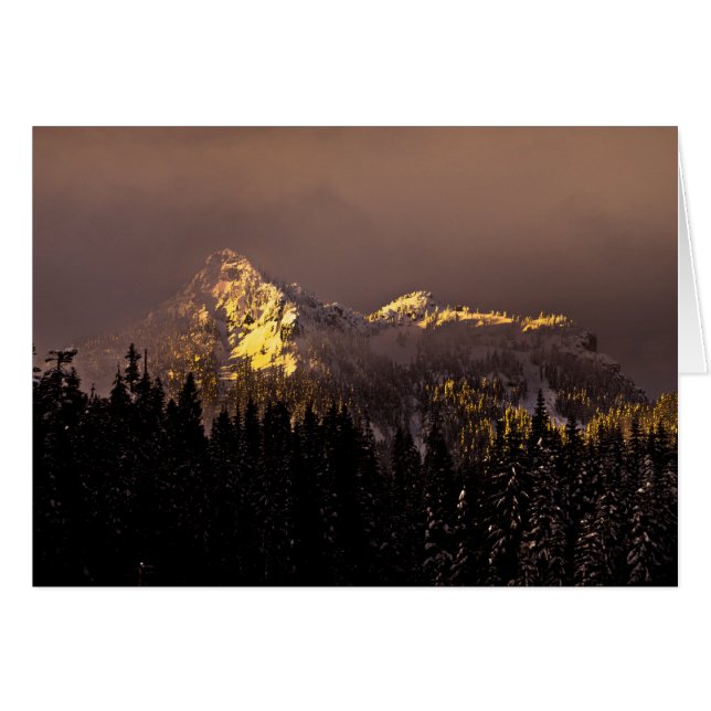 ゴールデンアワー (正面横)