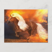 ゴールデンアワー