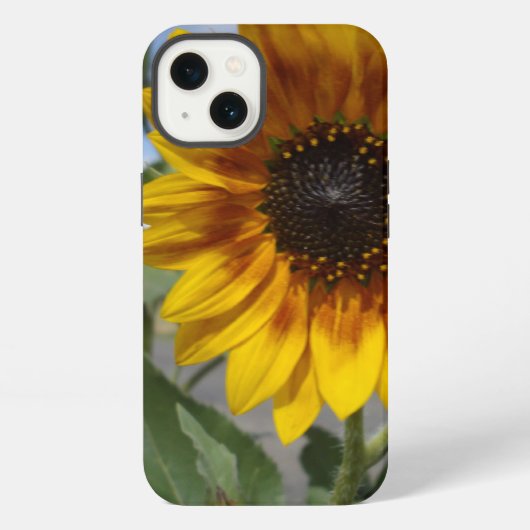 ゴールデンイエローひまわり iPhone 13 カバー (裏面)