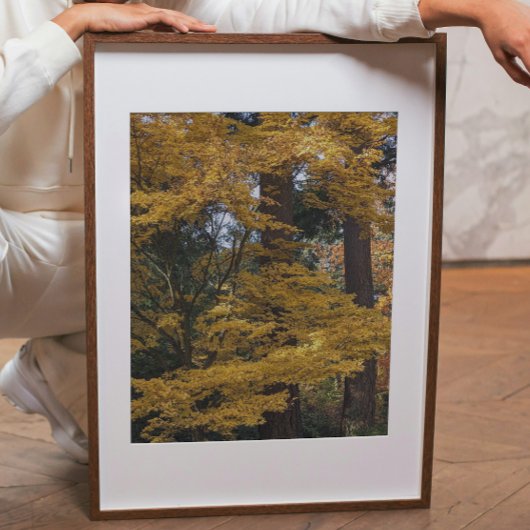 ゴールデンイエロー和楓の葉 植物図鑑 フォトプリント