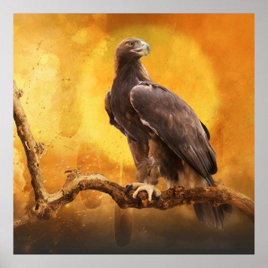 ゴールデンイーグルザゴールデンワン ポスター (正面)