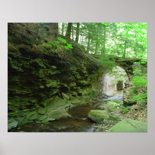 ゴールデンイーグルトレイル ポスター (正面)