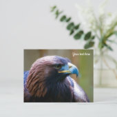 ゴールデンイーグルハガキ ポストカード (スタンド正面)