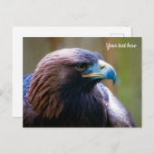 ゴールデンイーグルハガキ ポストカード (正面/裏面)