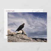 ゴールデンイーグルワイルドライフシリーズ# 14ポストカード ポストカード (正面/裏面)