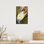 ゴールデンイーグル顔 ポスター (キッチン)