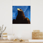 ゴールデンイーグル ポスター (キッチン)