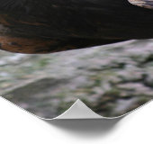 ゴールデンイーグル ポスター (角)