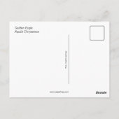 ゴールデンイーグル（鳥） ポストカード (裏面)