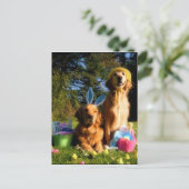 ゴールデンイースターを持っている シーズンポストカード (スタンド正面)