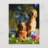 ゴールデンイースターを持っている シーズンポストカード (正面)