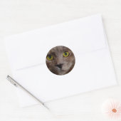 「ゴールデンウィスカー油の茶色の子絵を描猫」 ラウンドシール (封筒)