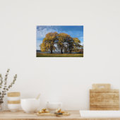 ゴールデンウィローズ ポスター (キッチン)