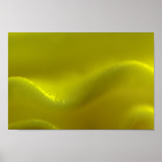 ゴールデンウェーブドリーム ポスター (正面)