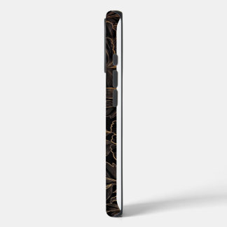 ゴールデンエレガントフローラオンブラック iPhone 16 PROケース