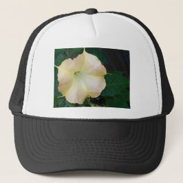 ゴールデンエンジェルスのトランペットの花をクローズアップ キャップ