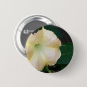 ゴールデンエンジェルスのトランペットの花をクローズアップ 缶バッジ (正面&裏面)