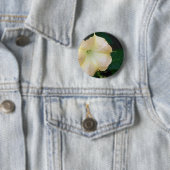 ゴールデンエンジェルスのトランペットの花をクローズアップ 缶バッジ (インサイチュ)