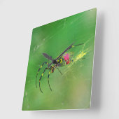 ゴールデンオルブウィーバースパイダーウォールクロック スクエア壁時計 (傾斜)