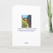 ゴールデンオレンジカリフォルニアポピー「オレンジの国」 カード (裏面)