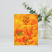 ゴールデンオレンジカリフォルニアポピー「オレンジの国」 ポストカード (スタンド正面)