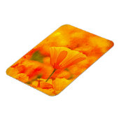 ゴールデンオレンジカリフォルニアポピー「オレンジの国」 マグネット (左側)