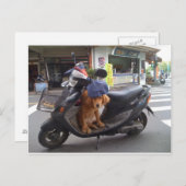 ゴールデンオンスクーター葉書 ポストカード (正面/裏面)