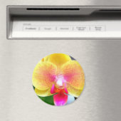 ゴールデンオーキッドバイパワーフラワー マグネット (インサイチュ (食洗機))