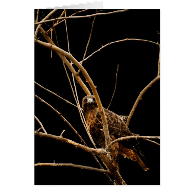 ゴールデンカード (正面)