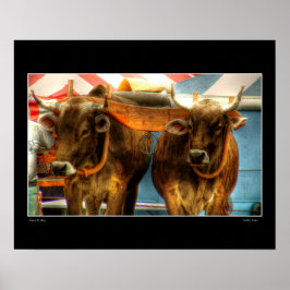 ゴールデンカーブ ポスター