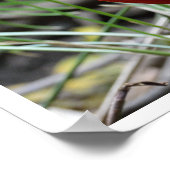 ゴールデンキジ ポスター (角)