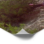 ゴールデンキャニオンカヤック ポスター (角)