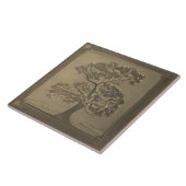 ゴールデンクラフツマンオークツリーセラミックタイル タイル (側面)