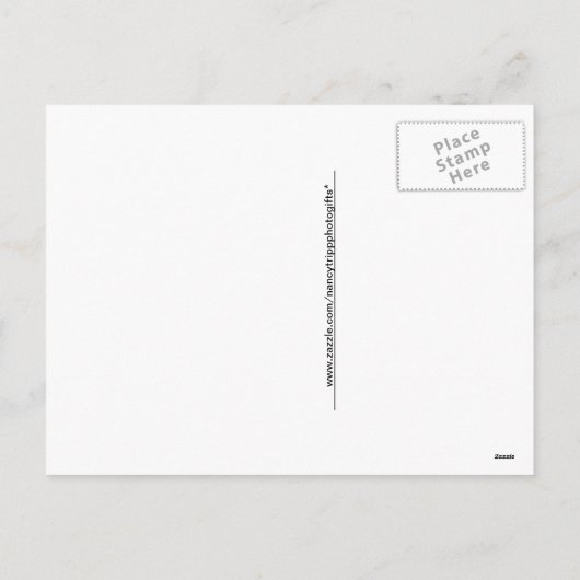 ゴールデンクリスマススターズオンフォイル紙 シーズンポストカード (裏面)