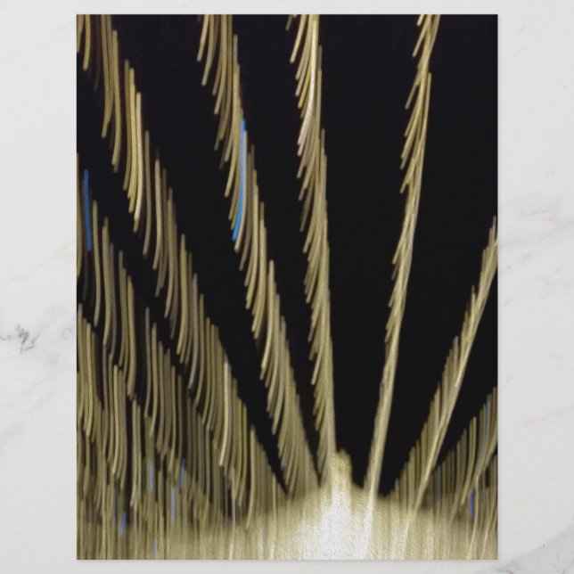 ゴールデンクリスマスライト (正面)