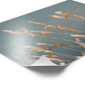 ゴールデングラスシードヘッドオンターコイズブルーレイク フォトプリント            (角)