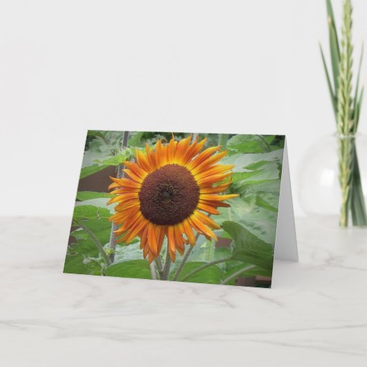 ゴールデングローサンフラワーノートカード カード (正面)