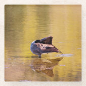 ゴールデングース ガラスコースター (正面)