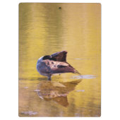 ゴールデングース クリップボード (裏面)