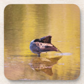 ゴールデングース コースター (正面)