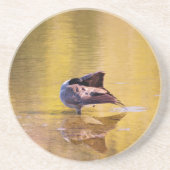 ゴールデングース コースター (正面)