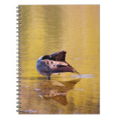 ゴールデングース ノートブック (正面)