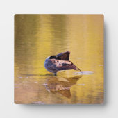 ゴールデングース フォトプラーク (正面)