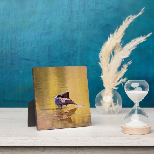 ゴールデングース フォトプラーク (インサイチュ)