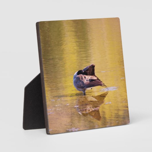 ゴールデングース フォトプラーク (正面)